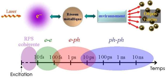 Rponse optique d'une nanoparticule : une succession d'changes et de conversions d'nergie