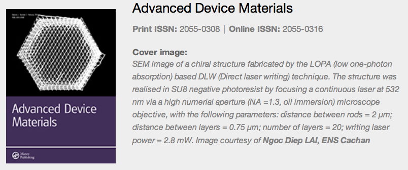 SEM image of LOPA based DLW